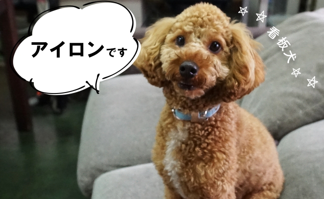 看板犬アイロン